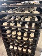 WhatsApp-Image-2026-02-19-at-1257034